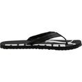 PUMA Herren Flip Flops Epic Flip v2, Größe 46 in Schwarz