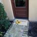 August Grove® Devorah Sunflower Welcome Floral 30 in. x 18 in. Non-Slip Outdoor Door Mat Coir in Brown | Wayfair AB3F1CE1289842EAB96670575F56CFED