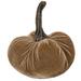 The Holiday Aisle® Velvet Weighted Pumpkin in Brown | 6 H x 4.3 W x 4.3 D in | Wayfair EAEB40DE9C564FCF8355F192340DBF62