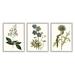 Stupell Industries Vintage Blue Botanical Flowers on Beige by Curtis - 3 Piece Graphic Art Print Set Wood in Brown | 20 H x 16 W x 1.5 D in | Wayfair