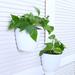 Ebern Designs Aniello Self-Watering Plastic Pot Planter | 7.5 H x 6.25 W x 7.75 D in | Wayfair 7E0DF8C861A846929B6DDF4A02052B56