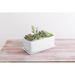 Ebern Designs Anielle Rectangular Ceramic Pot Planter Ceramic in White | 4.25 H x 10.25 W x 5.25 D in | Wayfair 8FF4E4F2BA3C40C5916FCE57397D181A