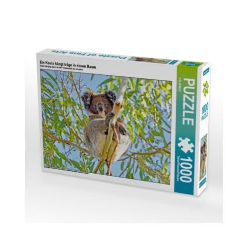 Puzzle Ein Koala hängt träge in einem Baum Foto-Puzzle Bild von CALVENDO Verlag
