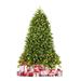 The Holiday Aisle® Extra Full Green Realistic Artificial Fir Christmas Tree w/ 650 LED Lights in White | 6' H | Wayfair