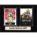 Jordy Nelson Green Bay Packers 6'' x 8'' Plaque