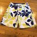 American Eagle Outfitters Swim | American Eagle Board Shorts | Color: Blue/White/Yellow | Size: 30