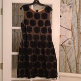 Anthropologie Dresses | Black/Nude Daisy Dress | Color: Black | Size: 14