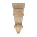 10 in x 4-1/2 in x 3-1/4 in Unfinished Small Hand Carved Solid Acanthus Leaf Corbel in Brown Architectural Products by Outwater L.L.C | Wayfair
