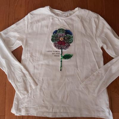Zara Shirts & Tops | Beautiful Girls Top | Color: Green/White | Size: 8-10 Years Old