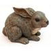 August Grove® Bartisan Baby Rabbit Statue Resin/Plastic/ in Brown | 5 H x 7.5 W x 5.4 D in | Wayfair 28917D72853546BFBDA98C84140C9A04