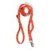 Outings Leash with Traffic Handle in Zebra Fire for Dogs, 60" L, Small, Orange