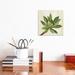 East Urban Home Front Yard Succulent I by Silvia Vassileva - Painting Print Canvas in Green/White | 12 H x 12 W x 0.75 D in | Wayfair
