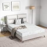 Full Medium 8" Foam Mattress - Alwyn Home Cinda | 75 H x 54 W 8 D in Wayfair 9965AD29ABEB480EBE69C67F6C6991C0