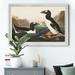 August Grove® Great Auk - Picture Frame Print on Canvas Canvas, Solid Wood in Blue/Brown | 22.5 H x 30.5 W x 1.5 D in | Wayfair