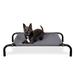 Gray Elevated Reinforced Pet Cot Bed, 31.5" L X 22.25" W X 6" H, X-Small