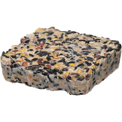 Morning Song Bird Watchers' Blend Suet