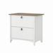 Bush Furniture Salinas 2 Drawer Lateral File Cabinet in Pure White and Shiplap Gray - Bush Furniture SAF132G2W-03