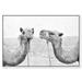 Union Rustic Animals Camel Best Friends Desert Landscapes - Floater Frame Graphic Art Print on Canvas in Gray/White | 20 H x 30 W x 1.5 D in | Wayfair