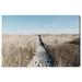 Highland Dunes Nature and Landscape To the Shore Coastal Landscapes - Photograph Print on Canvas in White | 24 H x 36 W x 1.5 D in | Wayfair