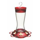 Arlmont & Co. Koury Garnet Hummingbird Feeder Glass in Red | 10.03 H x 7.75 W x 7.75 D in | Wayfair DF02926B5CFD478ABE9E7C2A34DABE2A