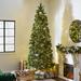 Polygroup Trading Ltd Home Heritage Artificial Cascade Pine Christmas Tree Prelit Changing Lights, Metal in Green/White | 9' H | Wayfair