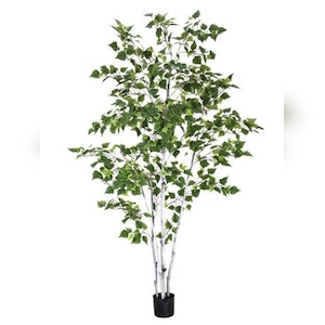 EUROPALMS Birkenbaum, Kunstpflanze, 210cm Image