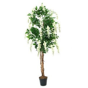 EUROPALMS Goldregenbaum, Kunstpflanze, weiß, 180cm Image