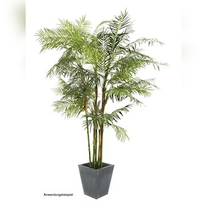 EUROPALMS Cycasrohr Palme, Kunstpflanze, 280cm Image
