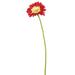 August Grove® Artificial Gerbera Daisy Stem Polyester in Red | 21 H x 5 W x 5 D in | Wayfair AGGR1566 35267699