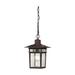 Beachcrest Home™ Valeri 1 -Bulb 12" H Outdoor Hanging Lantern Glass/Aluminium/Metal in Brown | 12 H x 7 W x 7 D in | Wayfair