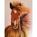 Buy Art For Less 'Seabiscuit Horse' by Ed Capeau Graphic Art on Wrapped Canvas in Brown | 16 H x 12 W x 1.5 D in | Wayfair CAN EDC136 12x16 GW