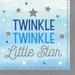 Creative Converting One Little Star 6.5"s Paper Disposable Napkins in Blue | Wayfair DTC322231NAP
