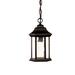 Charlton Home® Pruitt 1 -Bulb 12" H Outdoor Hanging Lantern Glass/Aluminium/Metal in Black | 12 H x 6.25 W x 6.25 D in | Wayfair