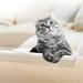 CLAWGUARD Furniture Shields Slipcover to Block Cat Scratching Furniture, Crystal | 11 H x 5.5 W x 0.3 D in | Wayfair 1004S