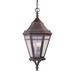 Darby Home Co Lorilee Natural Rust Mains Only Outdoor Hanging Lantern Brass/Glass/Metal | 27 H x 13 W x 13 D in | Wayfair DRBH2399 44162669