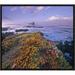 East Urban Home 'Iceplant Covering Coastal Rocks, Point Piedras Blancas, California' Framed Photographic Print in Gray/Indigo/Yellow | Wayfair