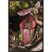 East Urban Home 'Burbidge's Pitcher Plant Pitcher, Sabah, Borneo, Malaysia' Framed Photographic Print in Brown/Gray/Green | Wayfair