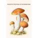 Buyenlarge Boletus The King of Mushrooms - Graphic Art Print in White | 36 H x 24 W x 1.5 D in | Wayfair 0-587-30034-5C2436