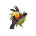 Buyenlarge Channel-Billed Toucan by John Gould - Graphic Art Print in White | 36 H x 24 W x 1.5 D in | Wayfair 0-587-29216-4C2436