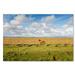 Trademark Fine Art Free as a Horse by Philippe Sainte-Laudy Photographic Print on Wrapped Canvas Canvas | 12 H x 19 W x 2 D in | Wayfair