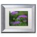 Trademark Fine Art "Purple Seedum" by Kurt Shaffer Framed Photographic Print Canvas | 11 H x 14 W x 0.5 D in | Wayfair KS01203-S1114MF