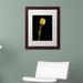 Trademark Fine Art Yellow Tulip Black Background 5 Framed Photographic Print Canvas, Wood | 14 H x 11 W x 0.5 D in | Wayfair MFG0067-W1114MF
