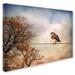 Trademark Fine Art 'American Kestrel in Autumn' Photographic Print on Wrapped Canvas Canvas | 14 H x 19 W x 2 D in | Wayfair ALI13777-C1419GG