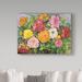 Trademark Fine Art Joanne Porter Zinnias in a Pebbly Sky - Wrapped Canvas Graphic Art Print Canvas in Green/Orange/Pink | Wayfair ALI30435-C1419GG