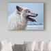 Trademark Fine Art 'Arctic Wolf Portrait' Graphic Art Print on Wrapped Canvas in Blue/Gray | 14 H x 19 W x 2 D in | Wayfair ALI32326-C1419GG