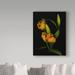 Trademark Fine Art 'Tulips 1' Graphic Art Print on Wrapped Canvas in Black/Orange | 19 H x 14 W x 2 D in | Wayfair ALI34368-C1419GG