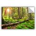 ArtWall Back to ' by Dragos Dumitrascu Photographic Print Removable Wall Decal Canvas/Fabric in Green | 12 H x 18 W in | Wayfair 0dum040a1218p