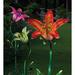 Arlmont & Co. Narelle Tiger Lily Garden Stake Glass/Metal in Pink | 9 H x 7.25 W x 33 D in | Wayfair 660F53A0BE4D4D7A8B8B3E9CAE7FEC38