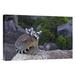 East Urban Home Madagascar Near Andringitra Mountains 'Ring-Tailed Lemur & Young' - Photograph Print on Canvas in Gray/Green/Indigo | Wayfair