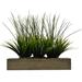 Wade Logan® Faux Onion Grass Plant in Wood Planter Wood/Plastic in Brown | 8 H x 18 W x 11 D in | Wayfair 86D49F66568944D1A81614AC25322EFE